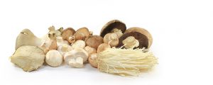 paddenstoelenstoofpot-met-kastanjes; paddenstoelenragout-pot-pie;